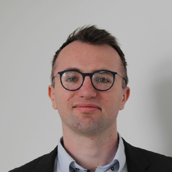 Francis Walshe - Legal Writer